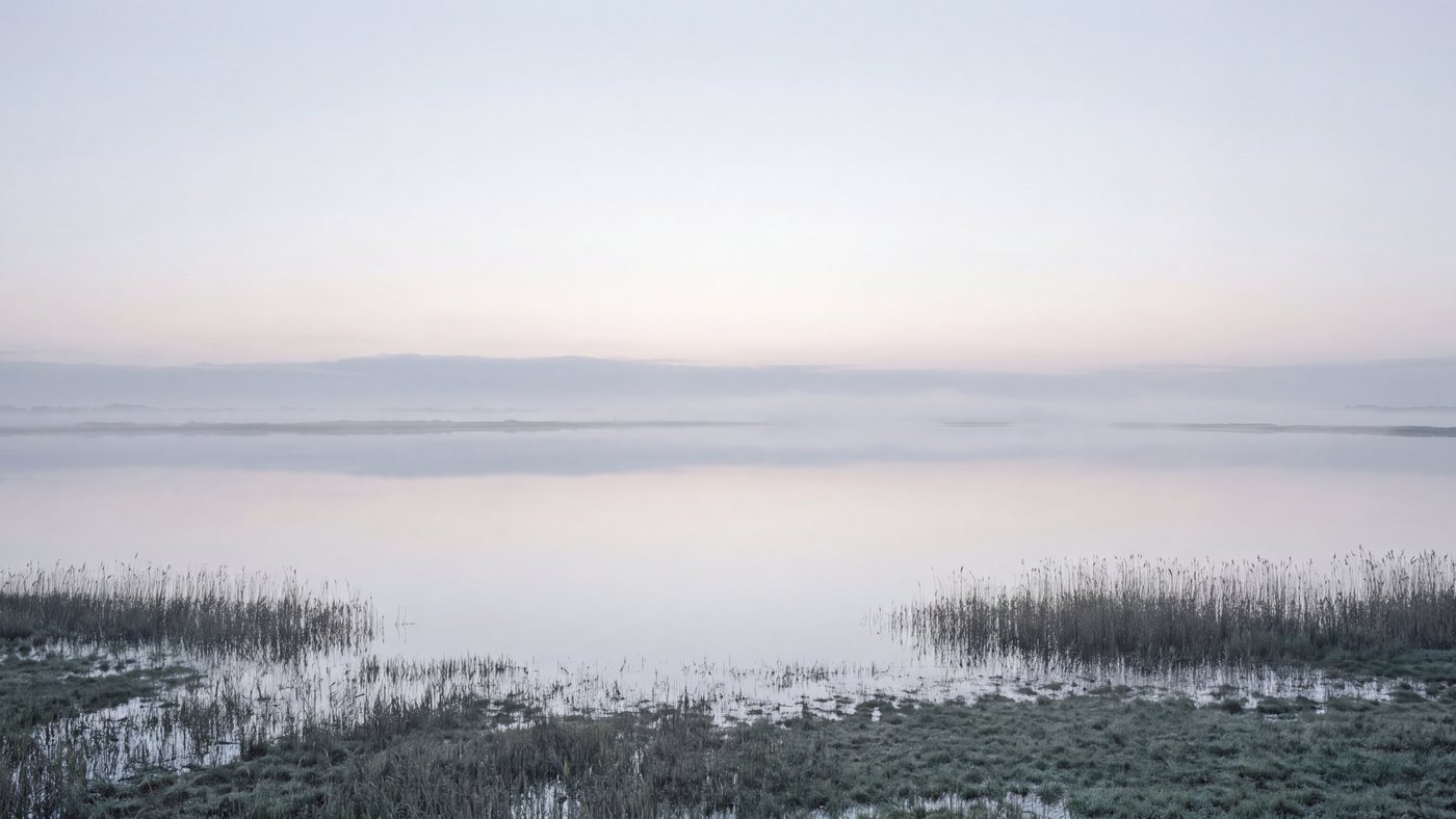 A Dutch polder at dawn, flat water meeting a pale sky